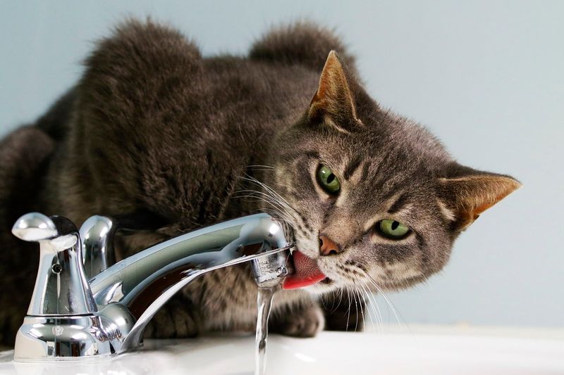 Excessive Thirst