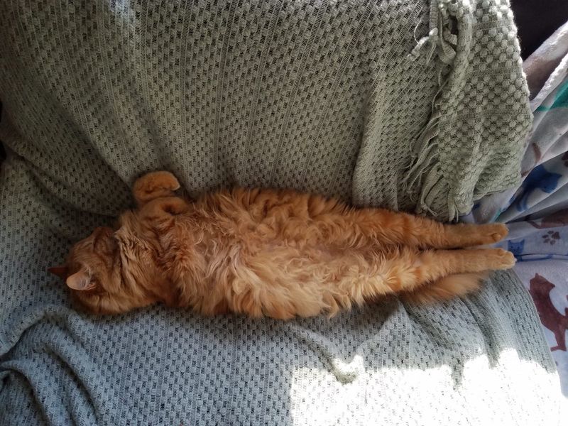 Napping in Secret Spots