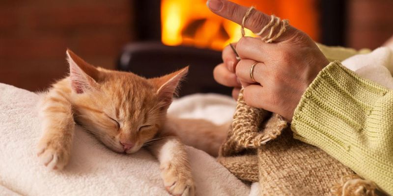 Sleeping in Your Presence (Especially on You)