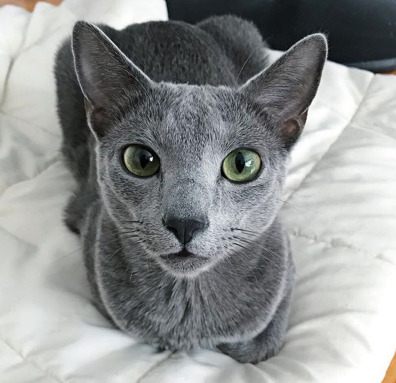 Stealth Mode: Always Engaged