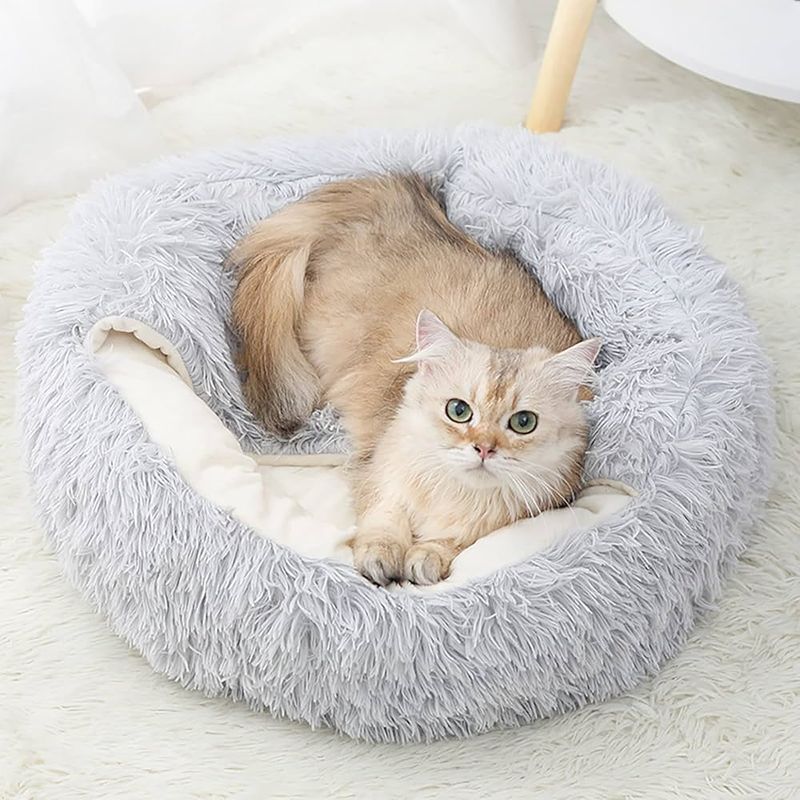Failing to Create a Safe, Cozy Space