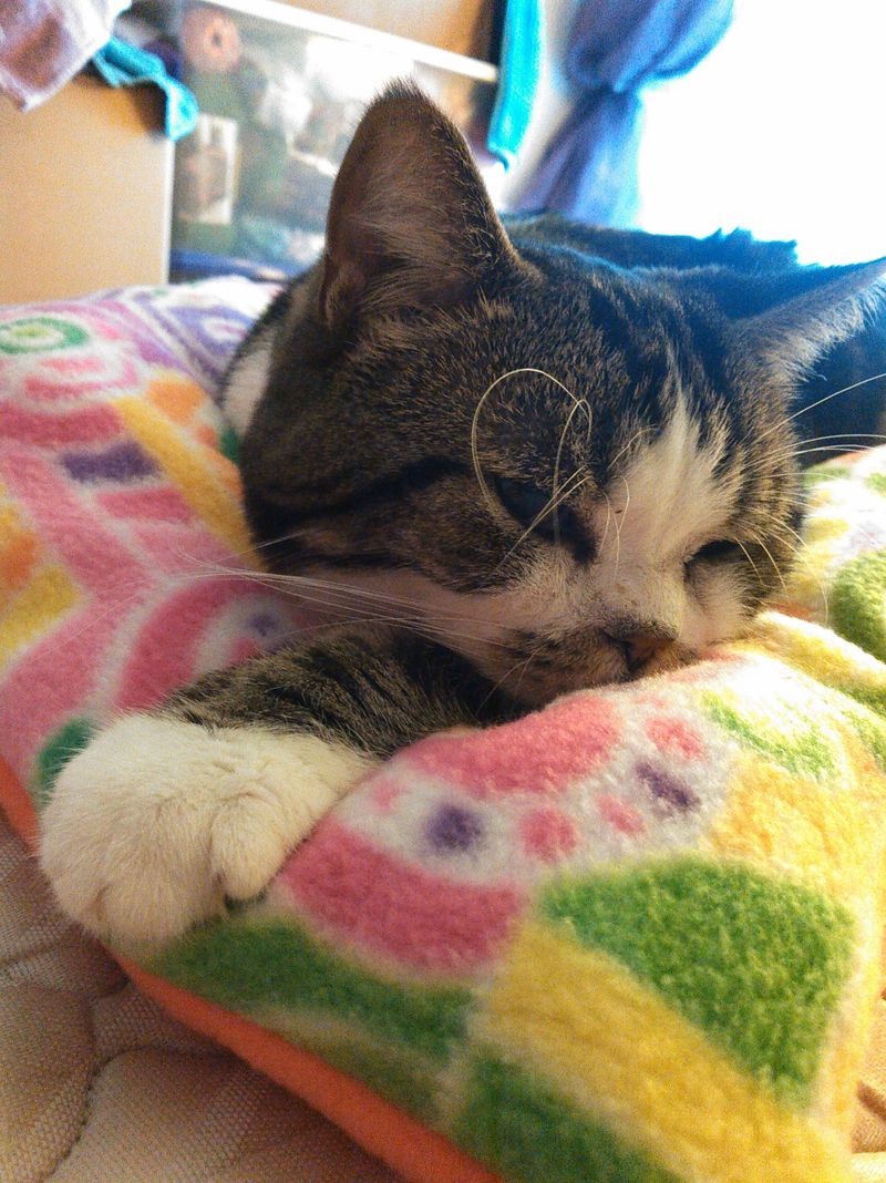 Familiar Smell Blankets