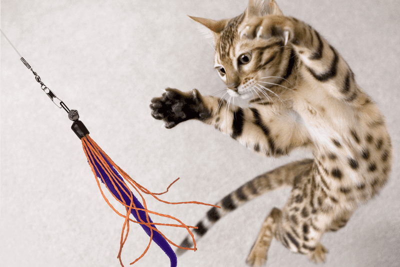 Redirect Hunting Behavior