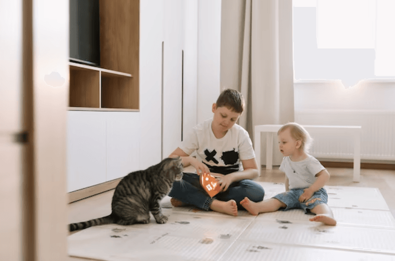 Training Their Humans