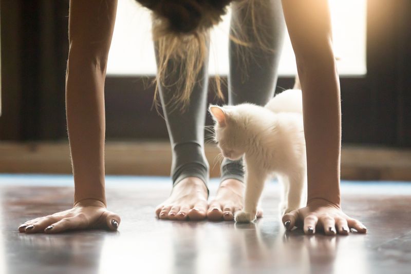 Fitness Partners
