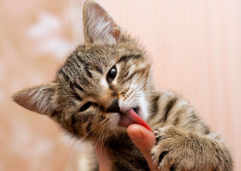 Grooming You