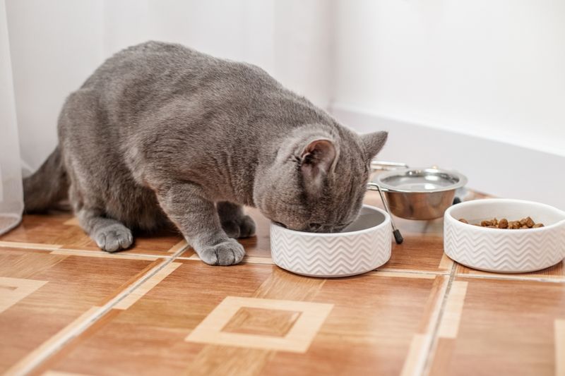 Food Guarding