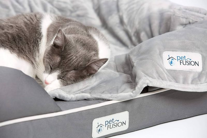 PetFusion Ultimate Orthopedic Memory Foam Cat Bed
