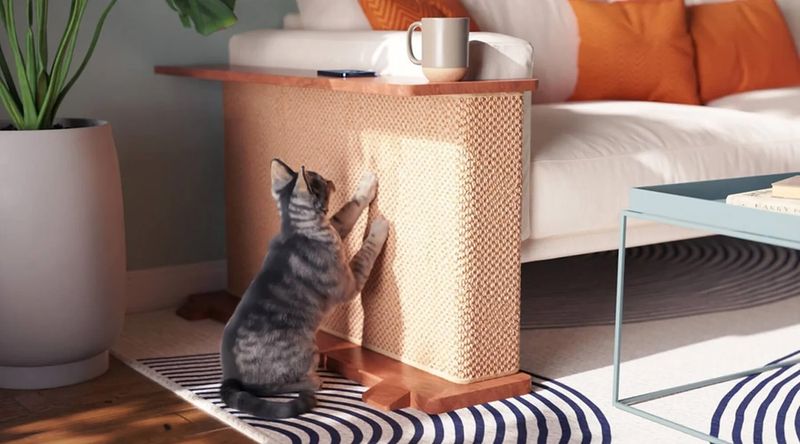 Furniture Protectors