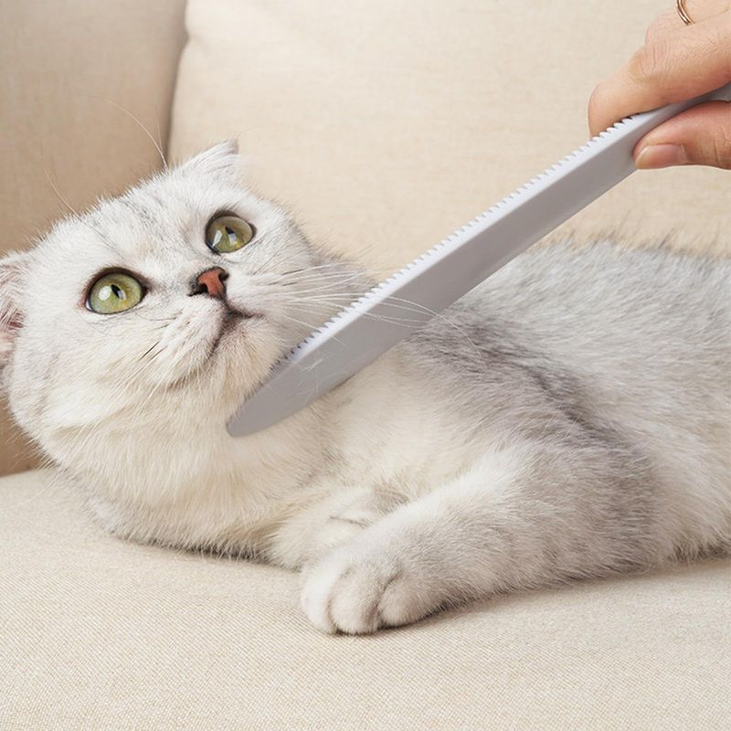 Gentle Grooming