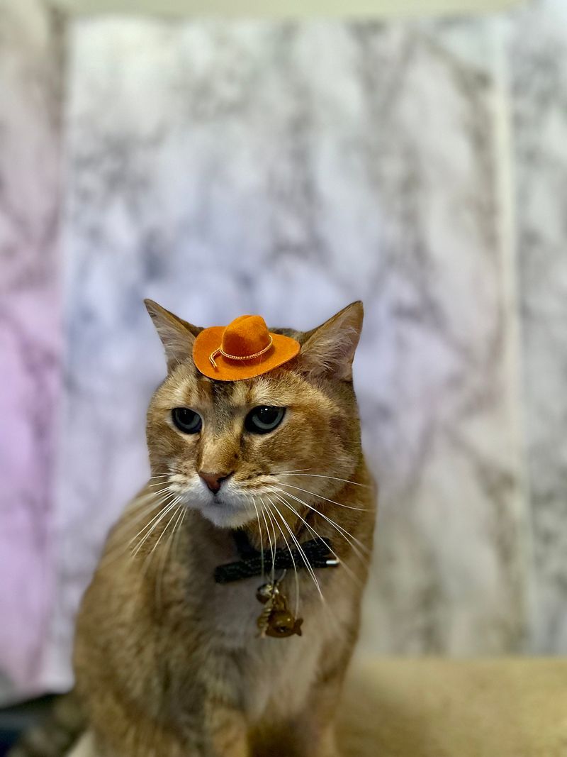 Tiny Hats and Cosplay Fits