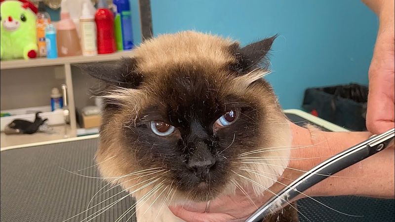 Grooming Changes