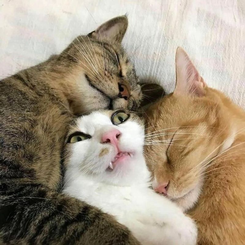 Sleeping Together or Touching While Resting
