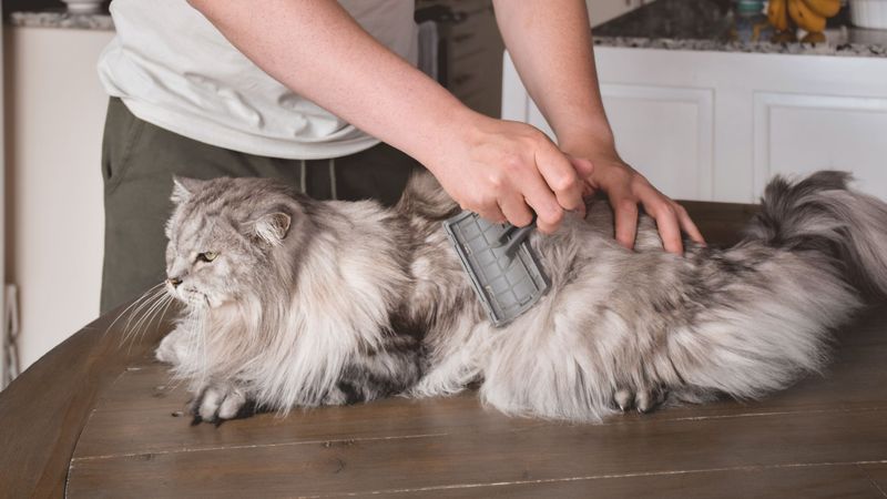 Grooming Needs