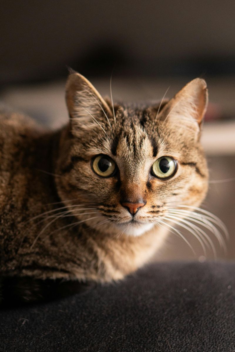 The Quiet Sit-and-Stare