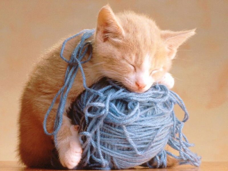 String or Yarn