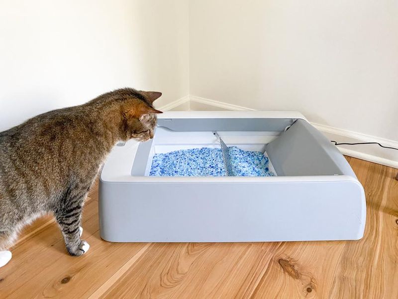 Odor Control Like a Pro