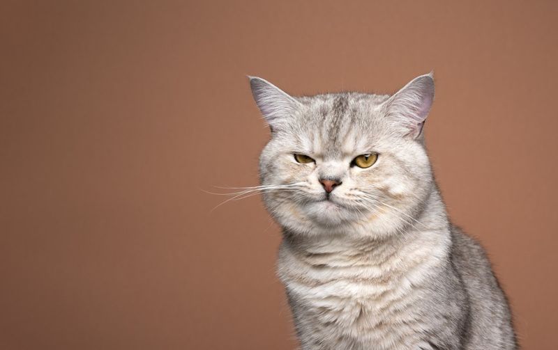 Getting Judged… Constantly