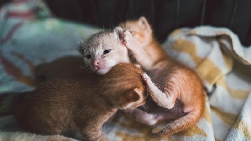 Still Nursing Frequently
