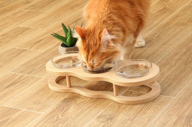 Minimizes Whisker Fatigue