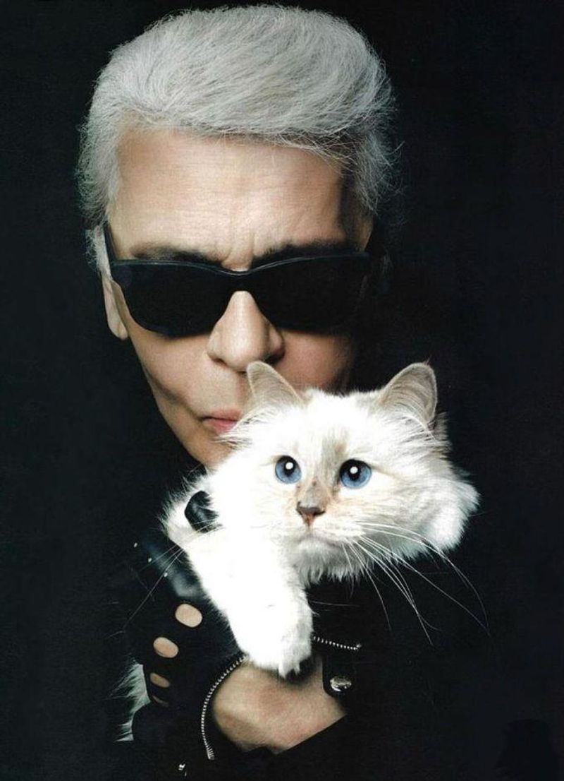 Choupette's New Companion