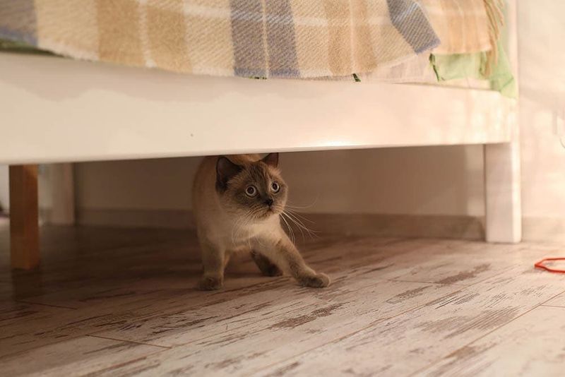 Hiding Constantly