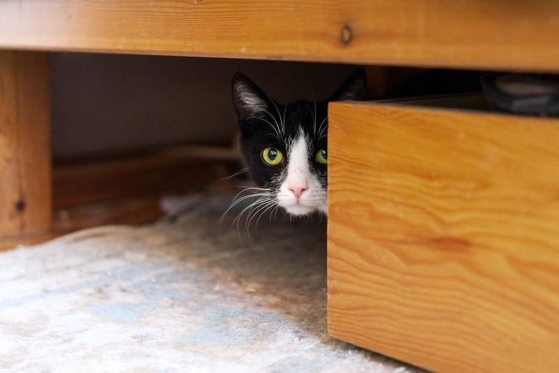 Hiding Constantly