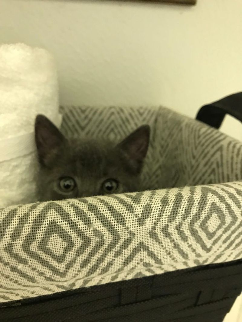Hiding Frequently