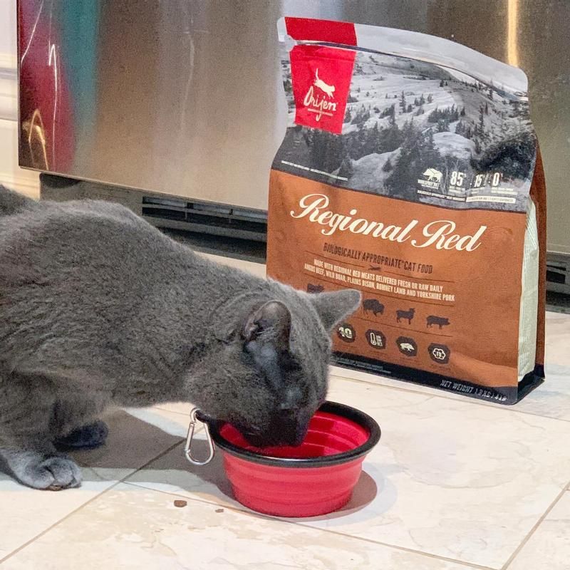 Orijen Original Grain-Free Dry Cat Food