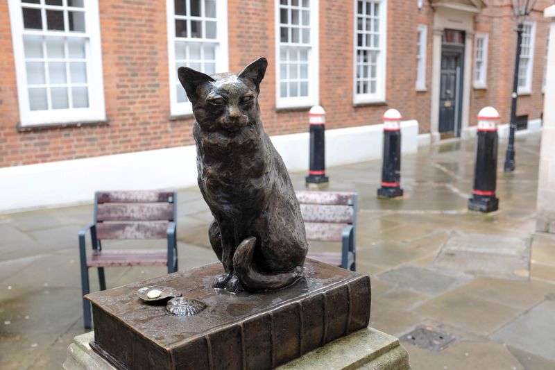 Hodge, Dr. Johnson’s Cat