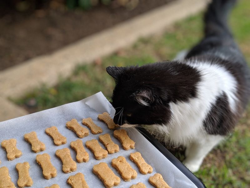 Homemade Treats