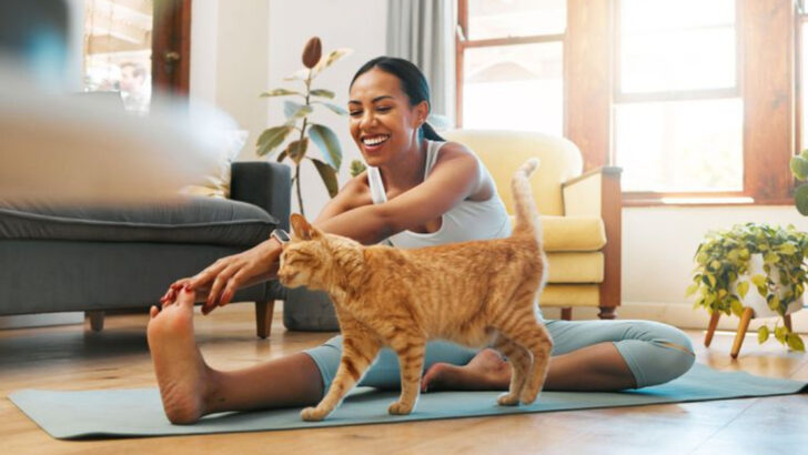 How Cats Show They’re at Peace—12 Telltale Signs