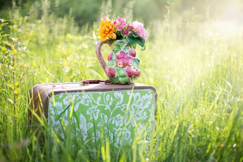 Find the Perfect Suitcase
