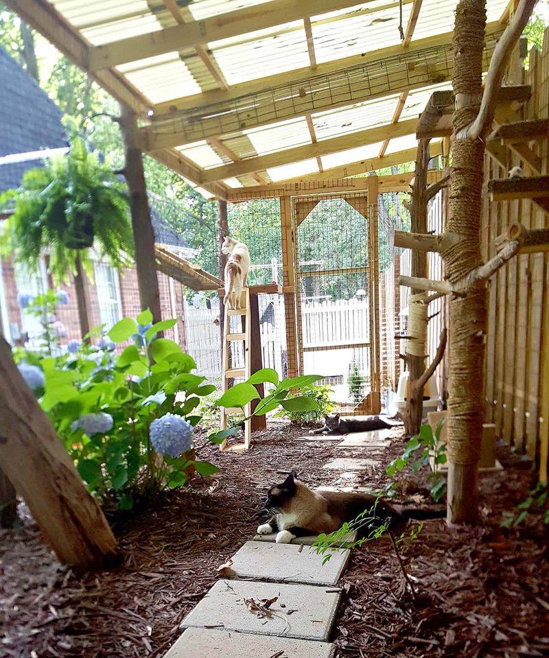 Provide Shaded Areas