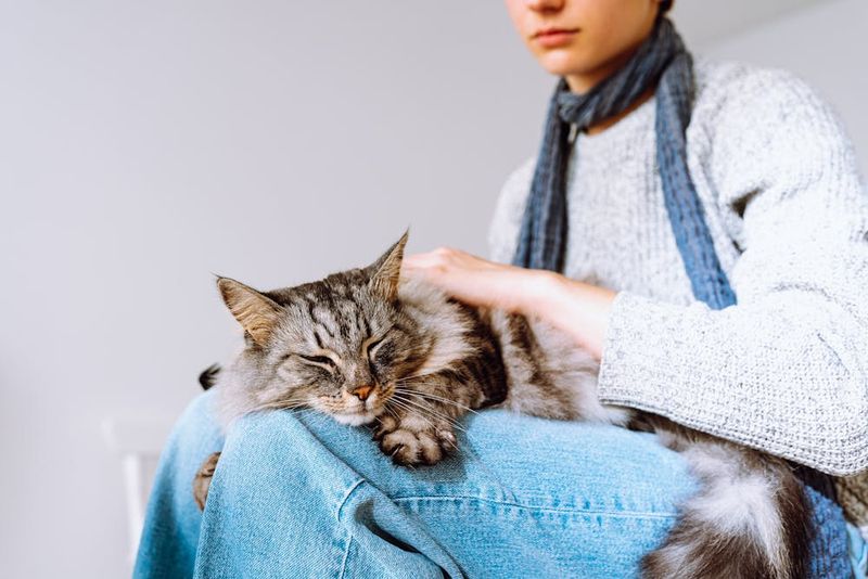 Emotional and Financial Strain of Vet Visits