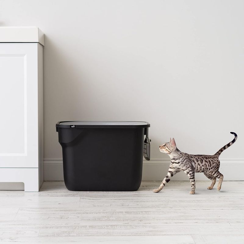 Clevercat Top Entry Litter Box