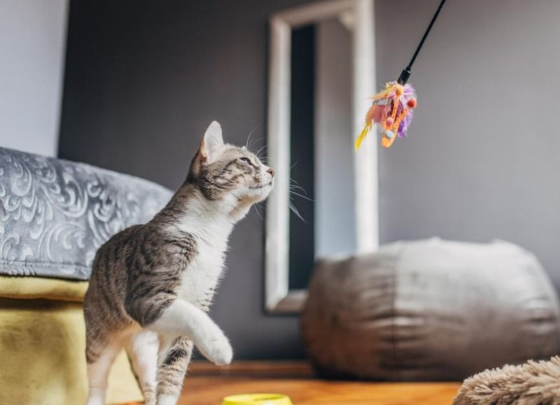 Reduced Activity or Interest in Play