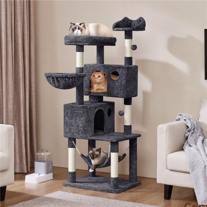 Place Scratching Posts Strategically