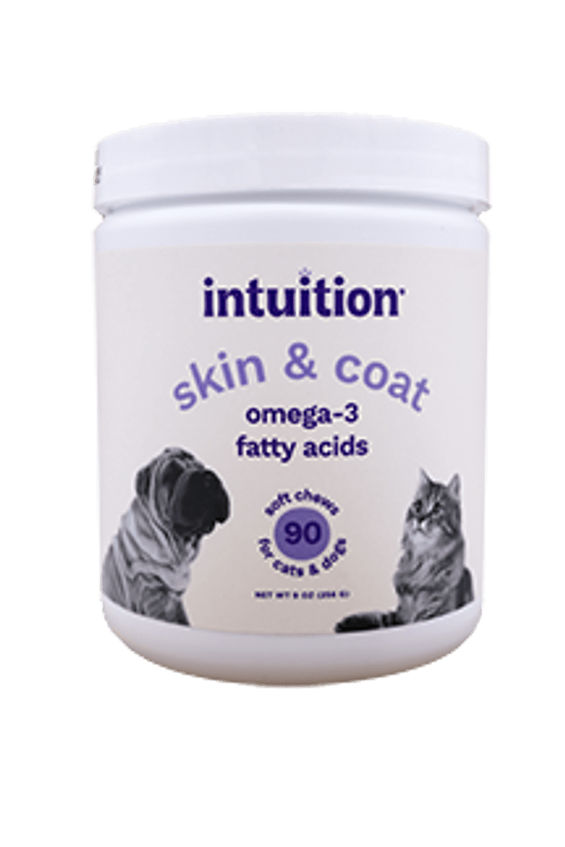 Include Skin and Coat Support Supplements