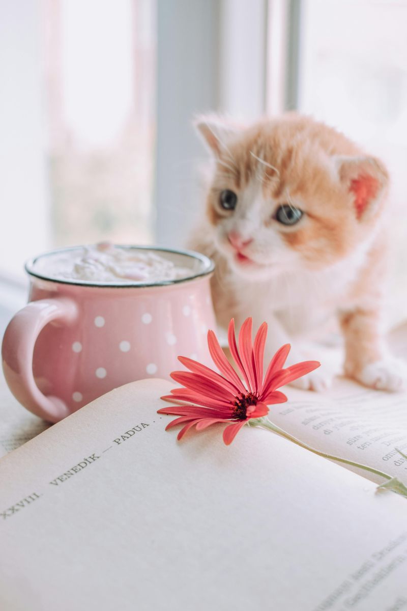 Floating in Your Morning Coffee