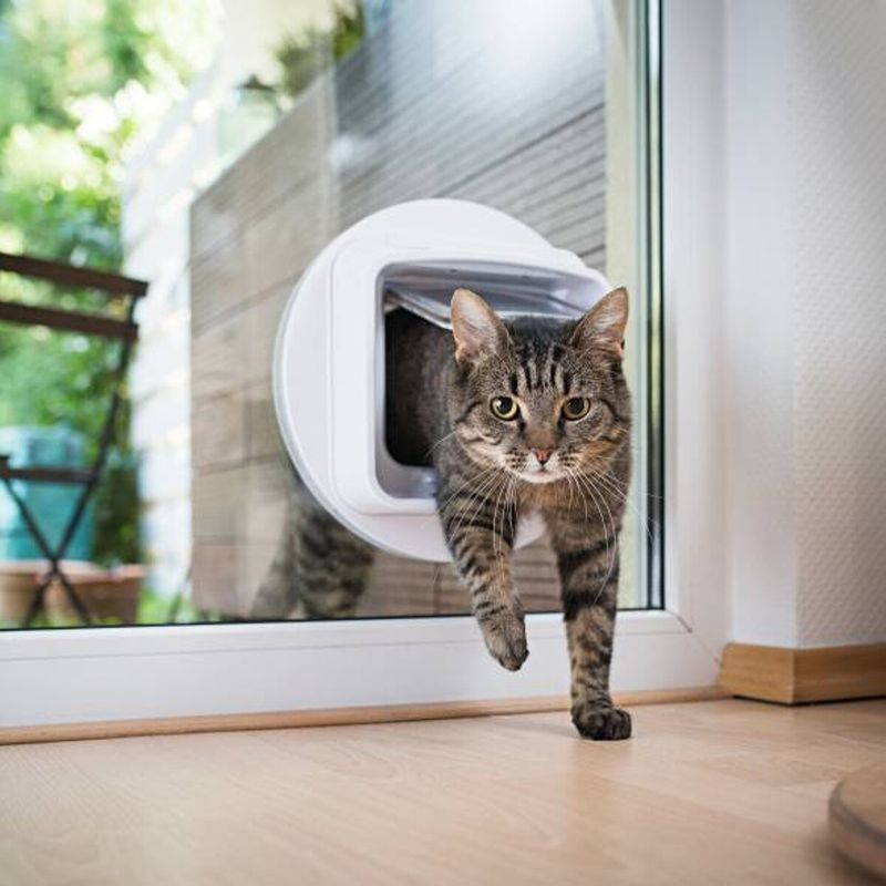 Install a Cat Door