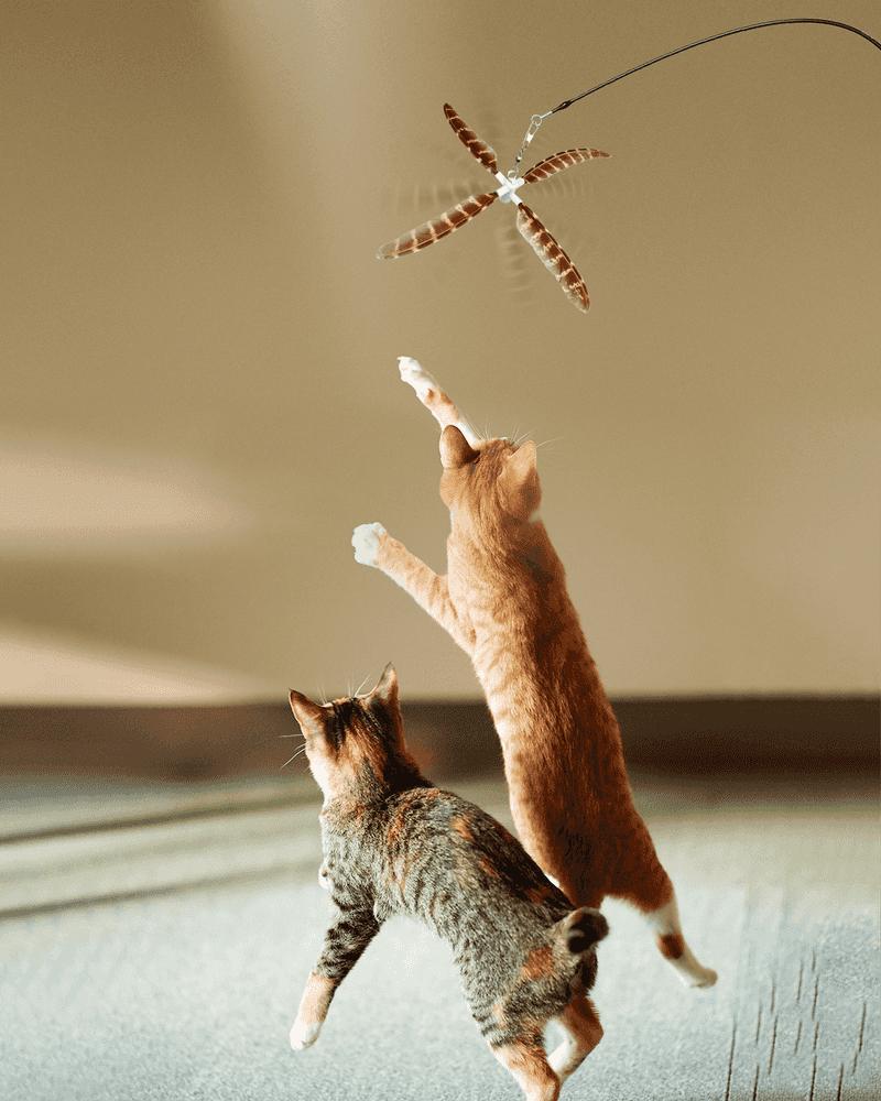 Interactive Playtime with Wand Toys