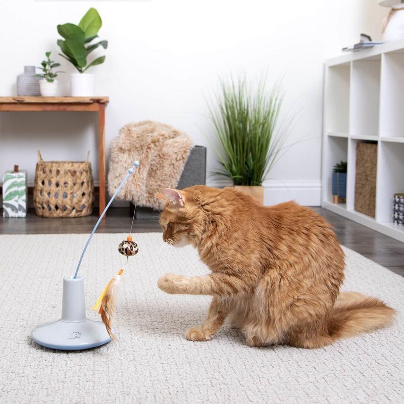 Battery-Operated Motion Toys