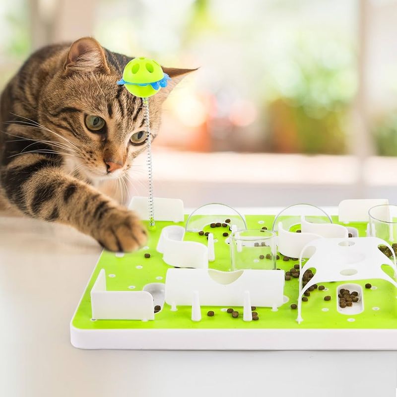 Interactive Puzzle Toys