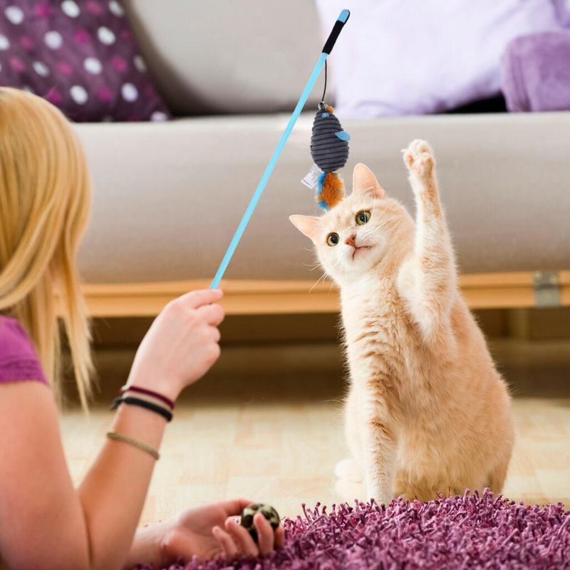 Interactive Toy Sessions