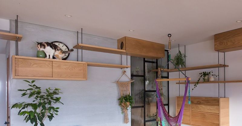 Is your space adequate for them?