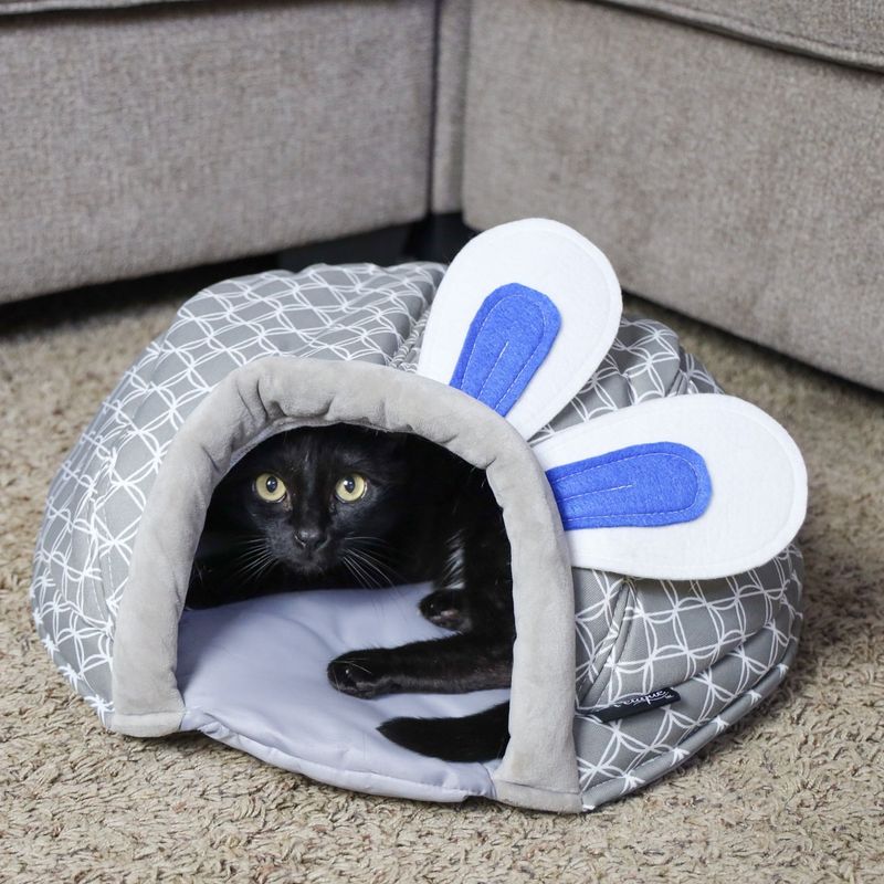 Keep the Peace — Quiet is Key