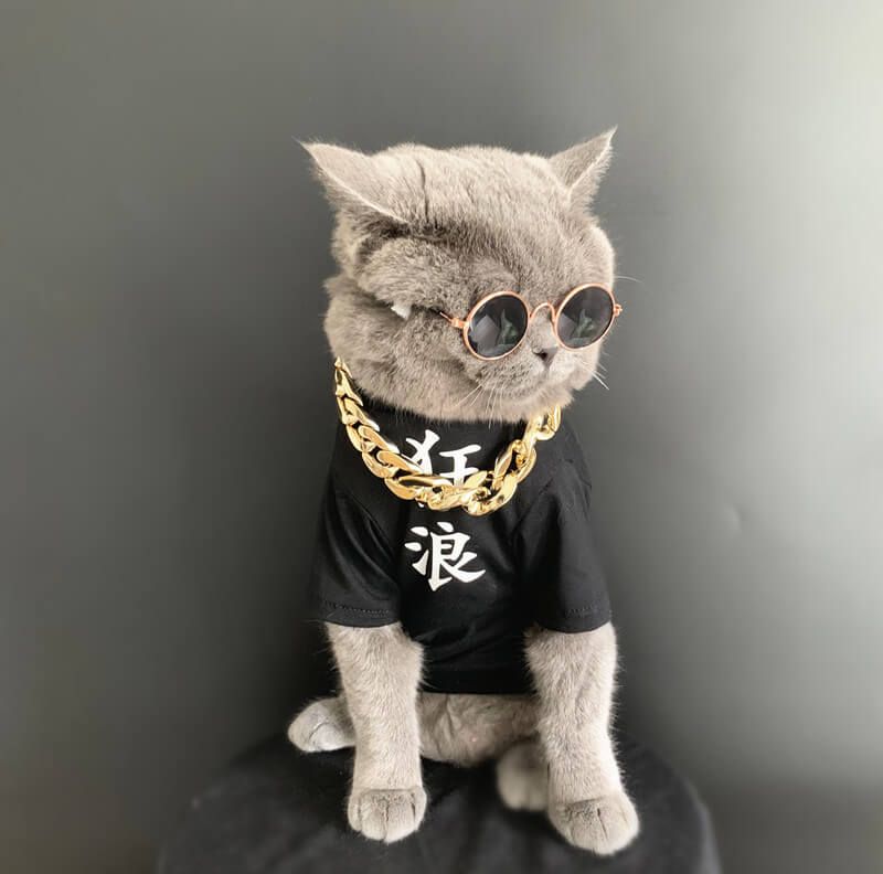 Kitty Smalls