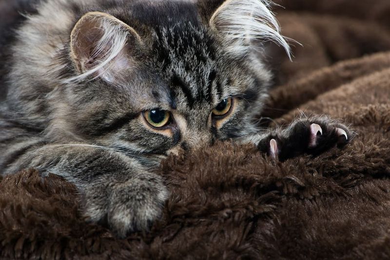 Kneading