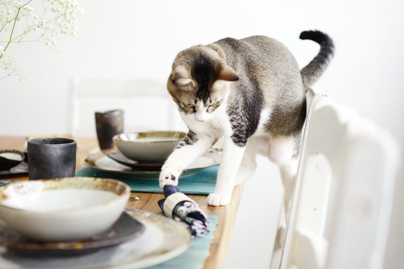 Knocking Things Over